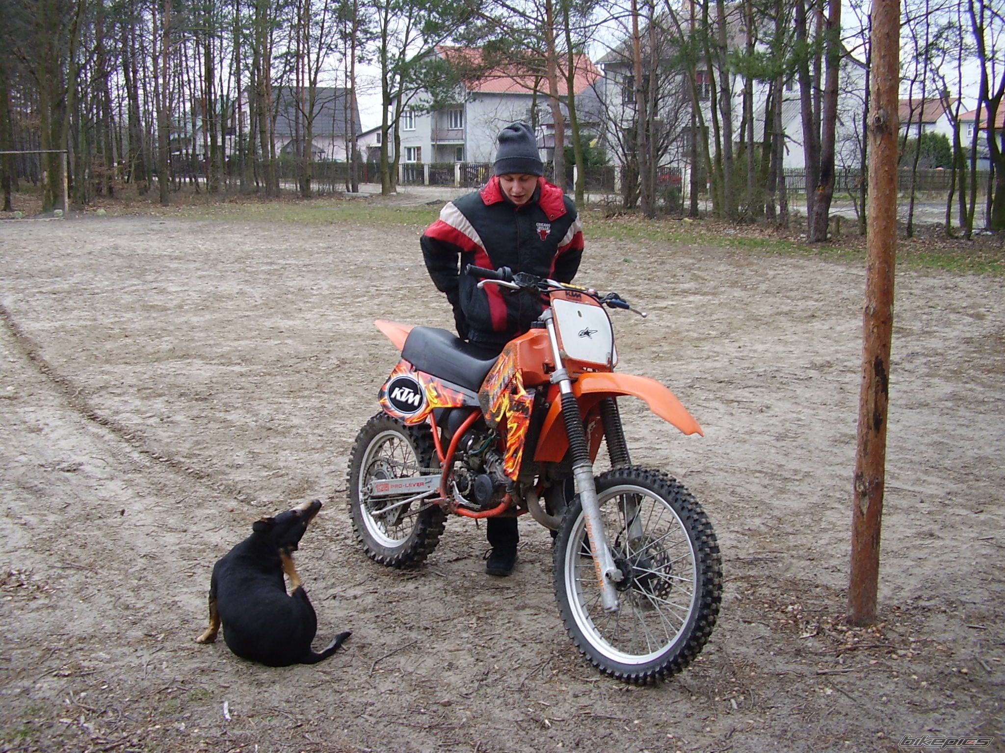 Photo 1241441