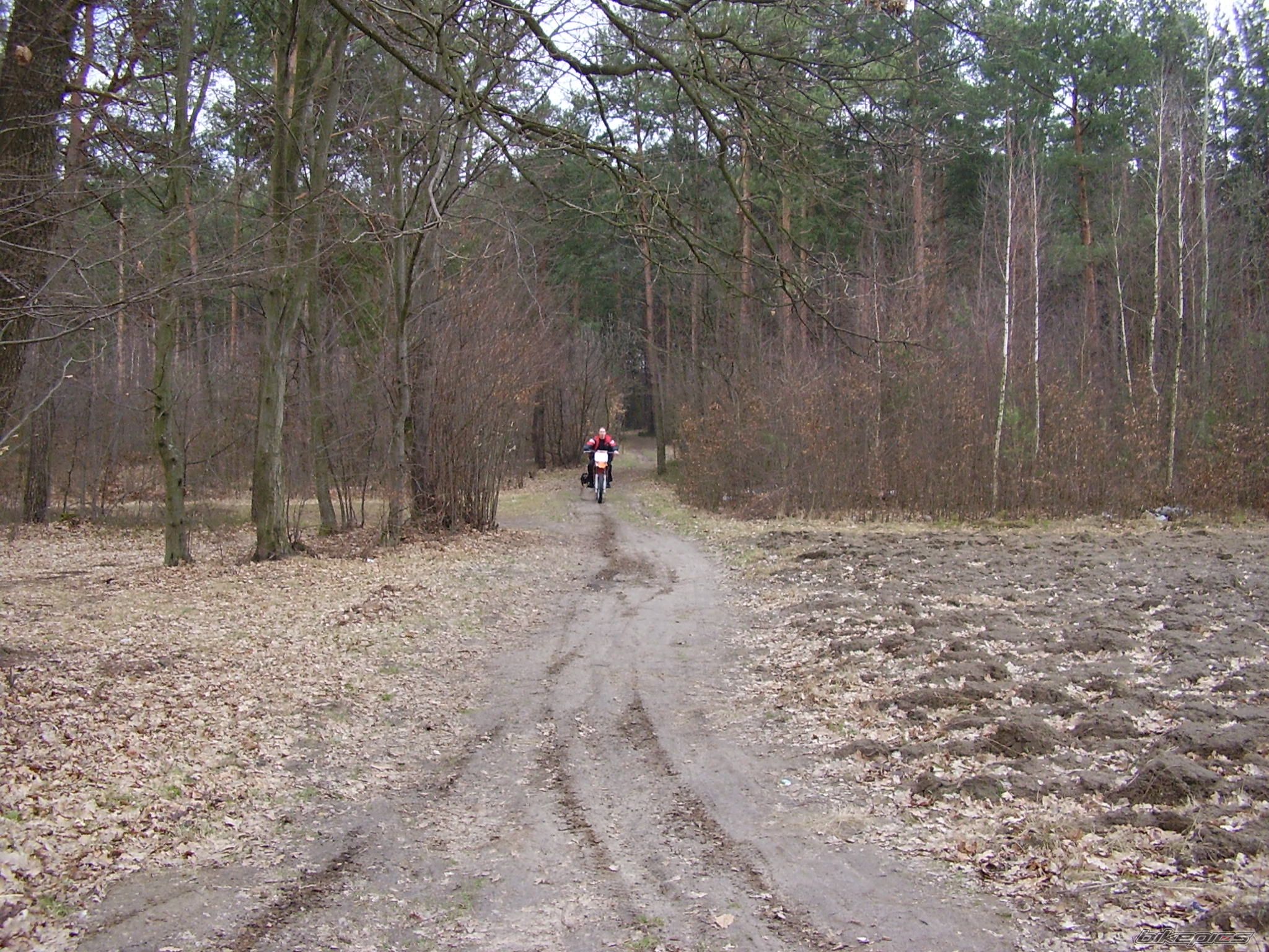 Photo 1241446