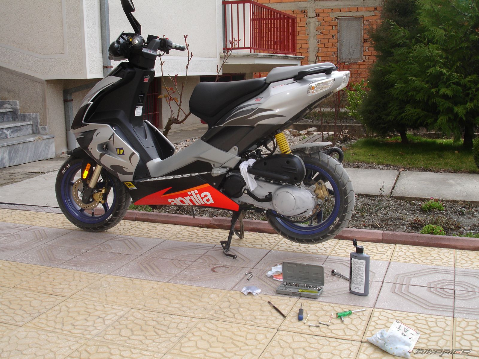 Photo 1241609