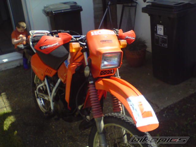 Photo 1241641