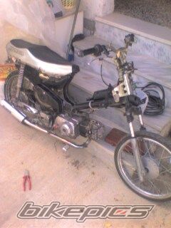 Photo 1241661