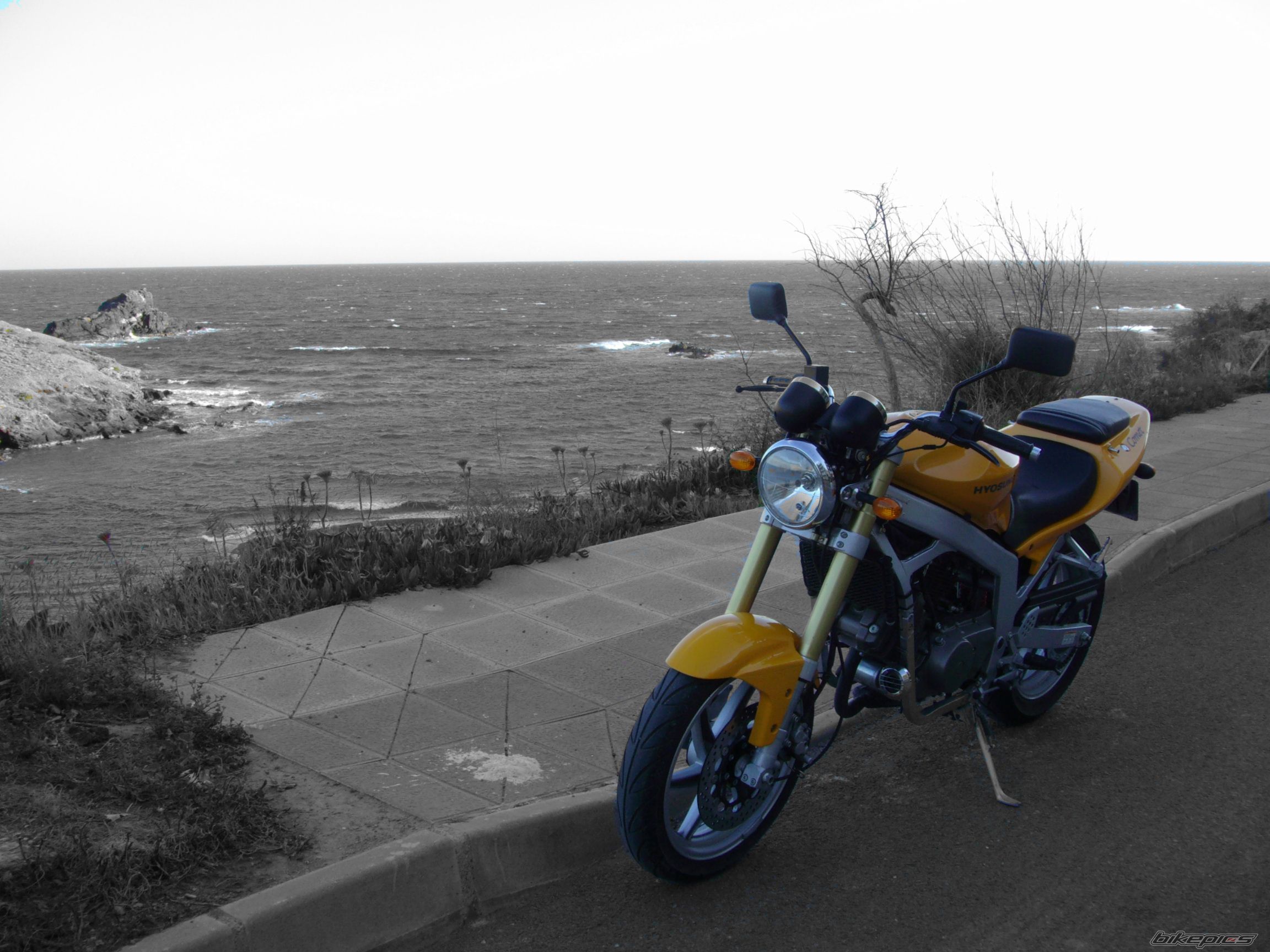 Photo 1241715