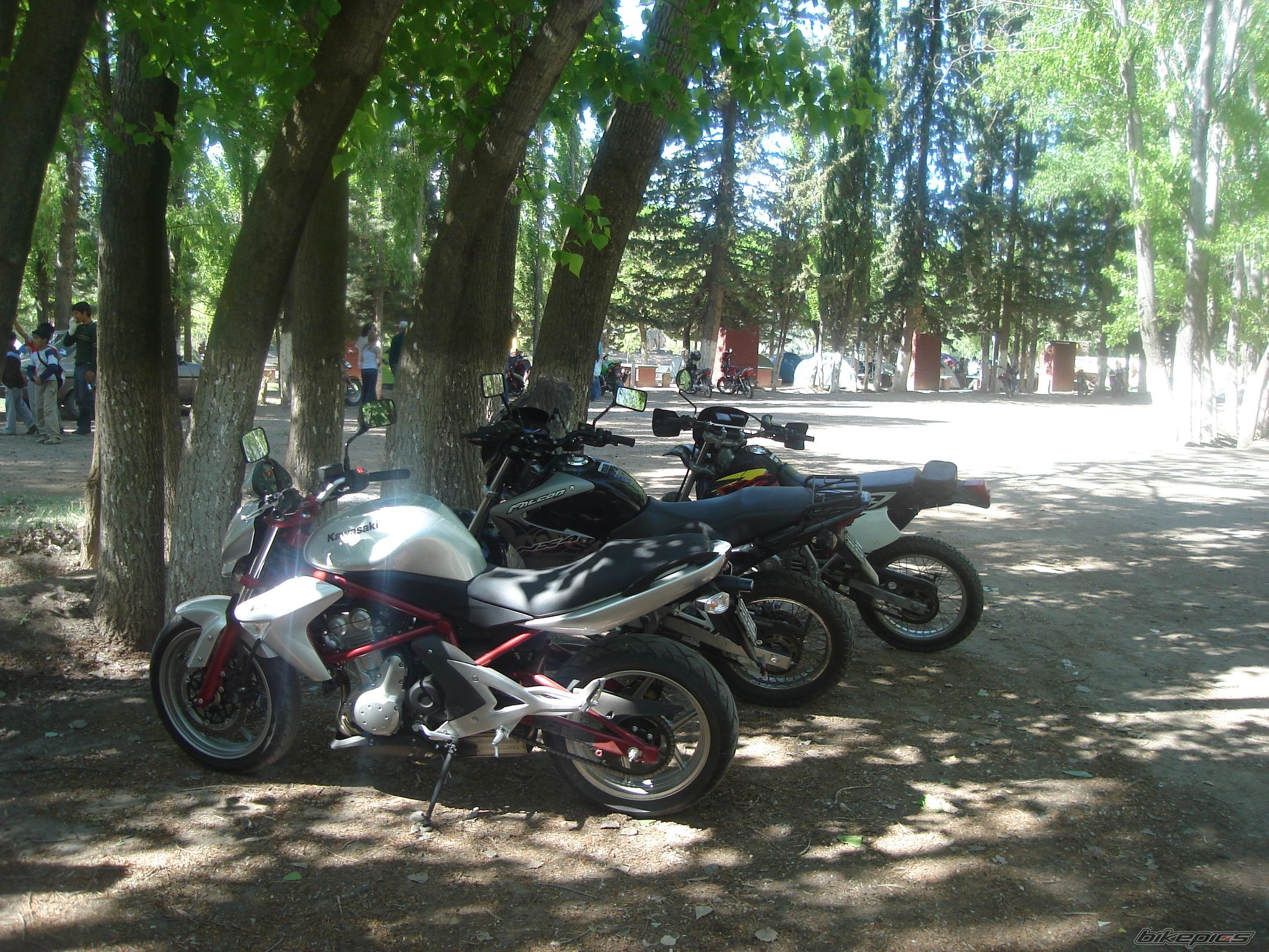 Photo 1241759