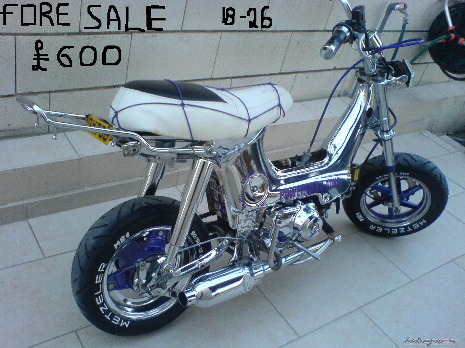 Photo 1241791