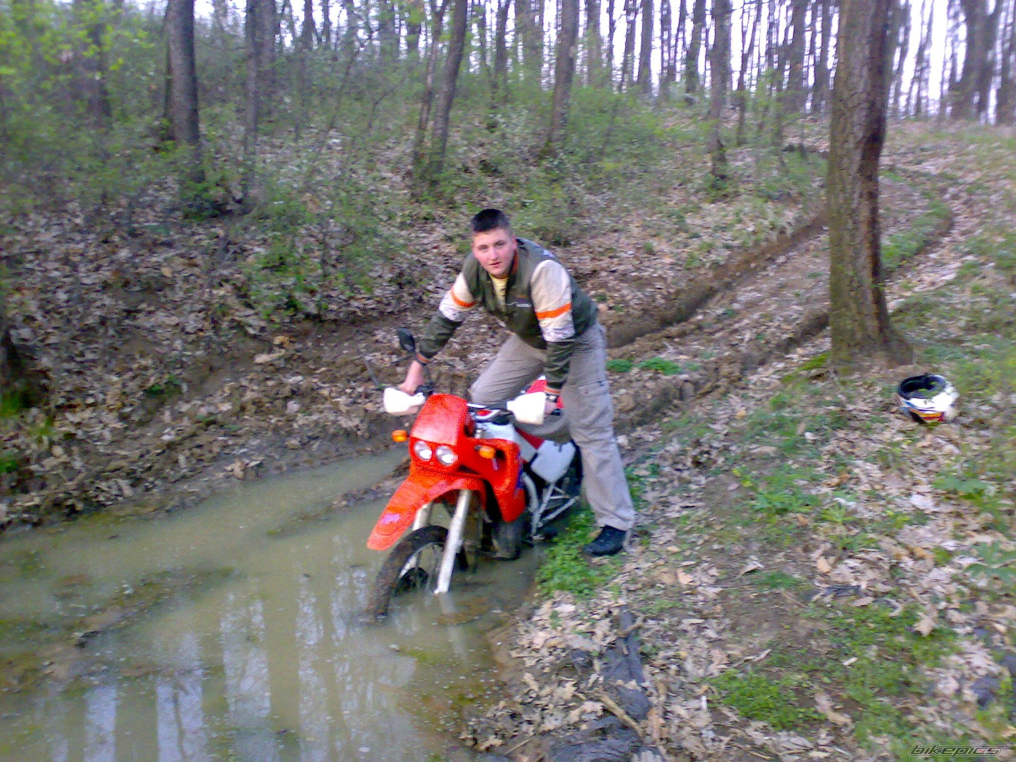 Photo 1241801