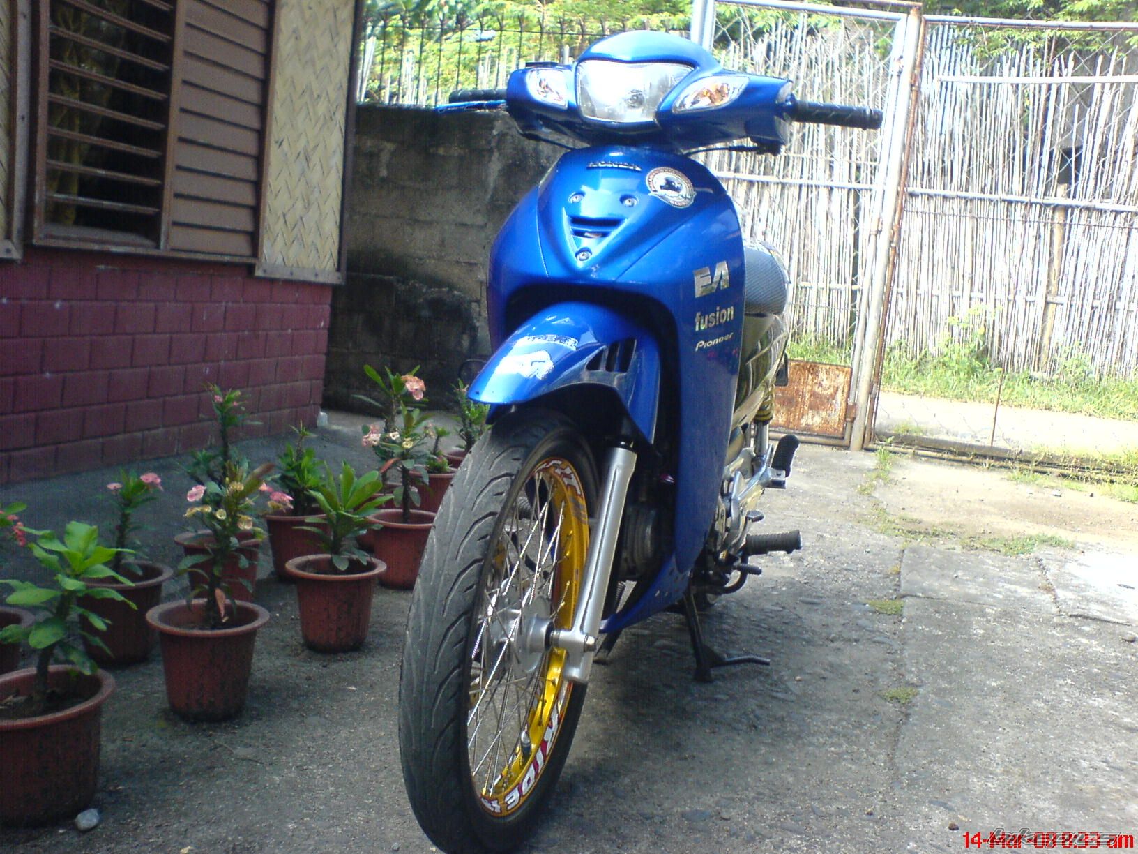 Photo 1241848
