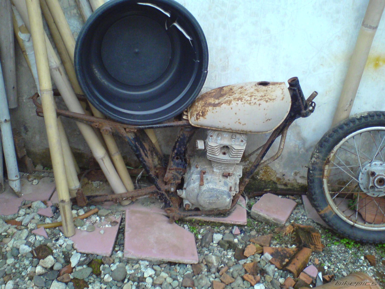 Photo 1241871