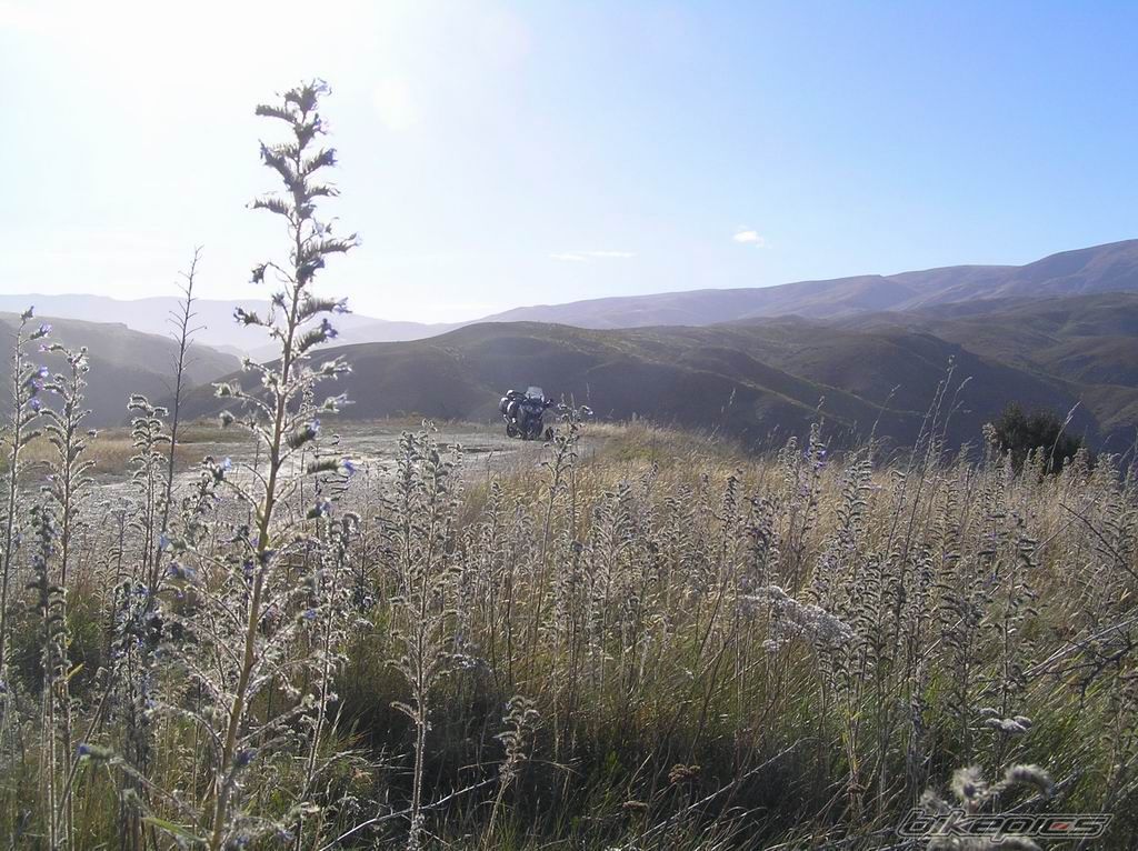 Photo 1241884