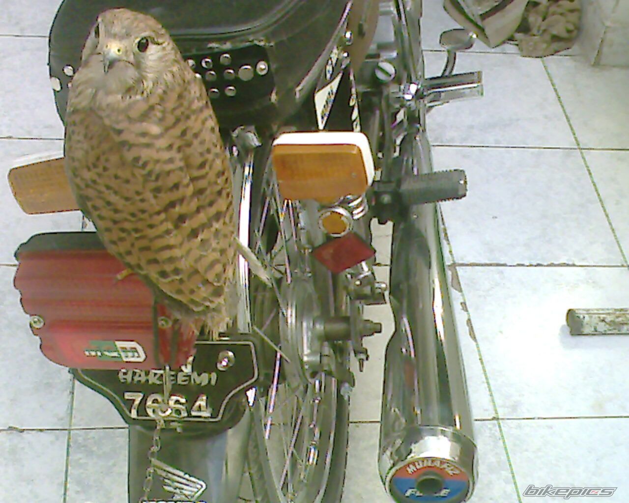 Bike Photo 1241904
