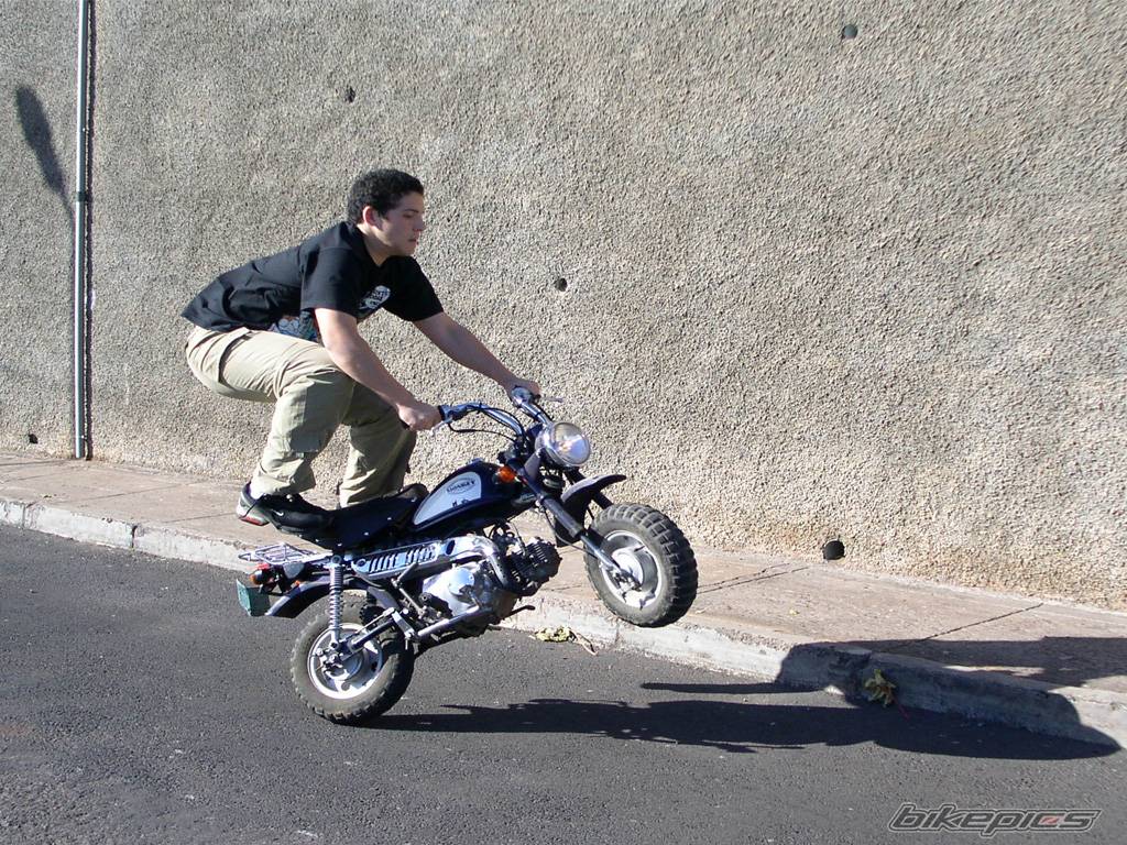 Bike Photo 124210