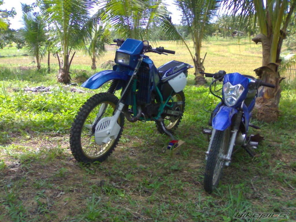Photo 1242168