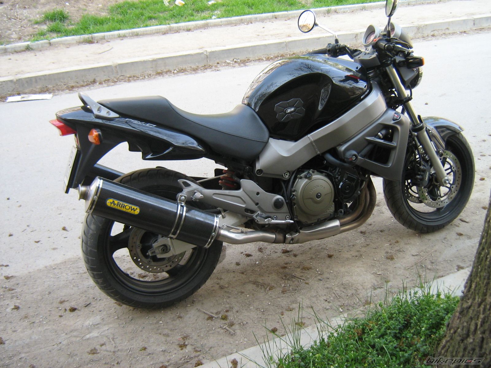 Photo 1242225