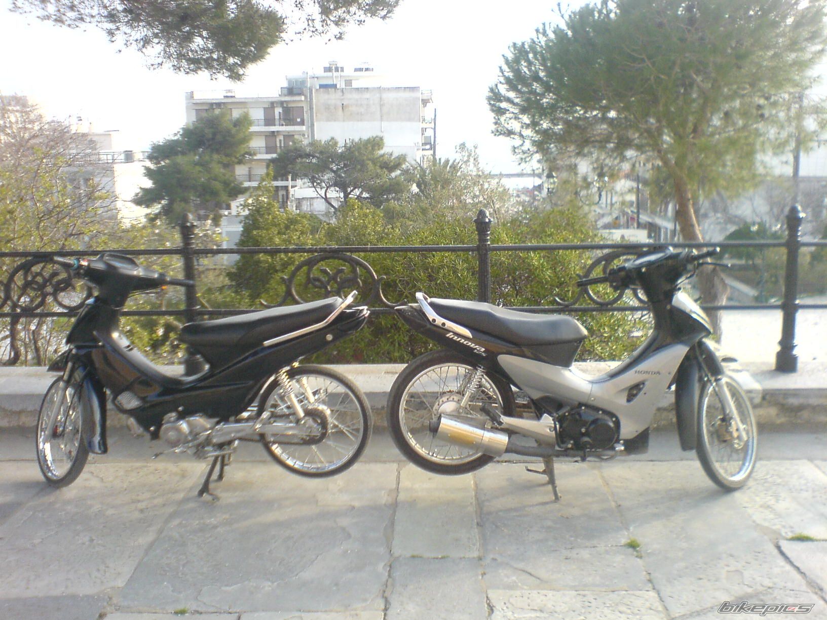 Photo 1242334