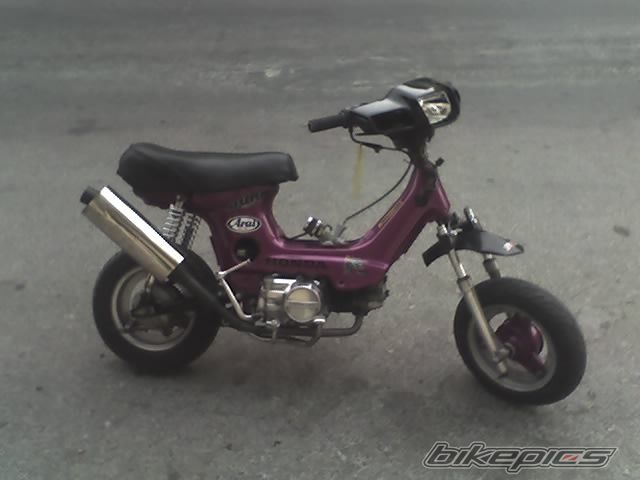 Photo 1242369