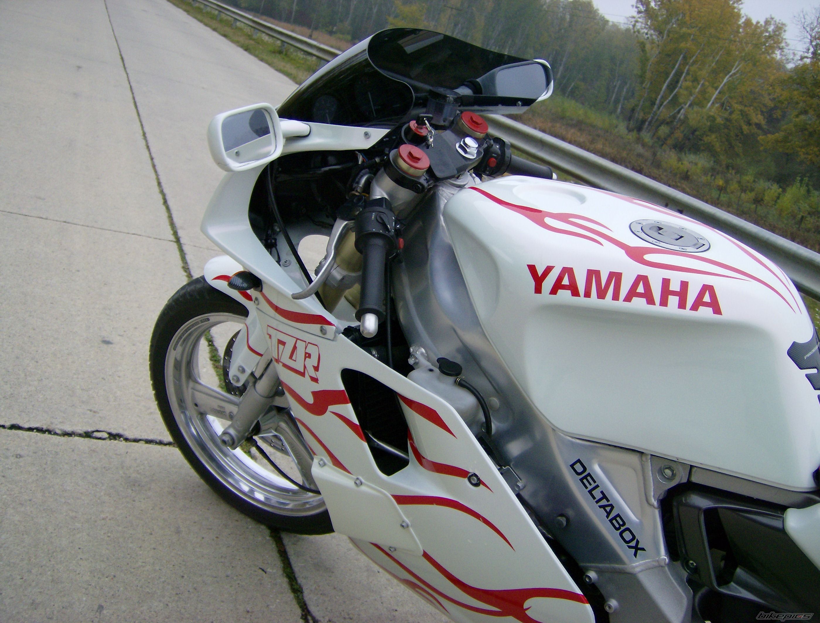 Photo 1242379
