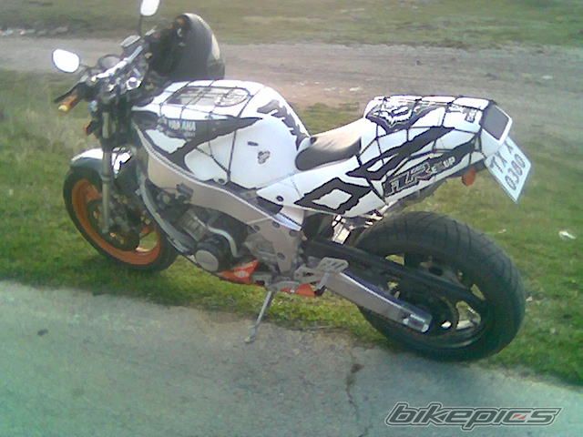 Photo 1242384