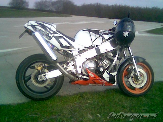 Photo 1242386