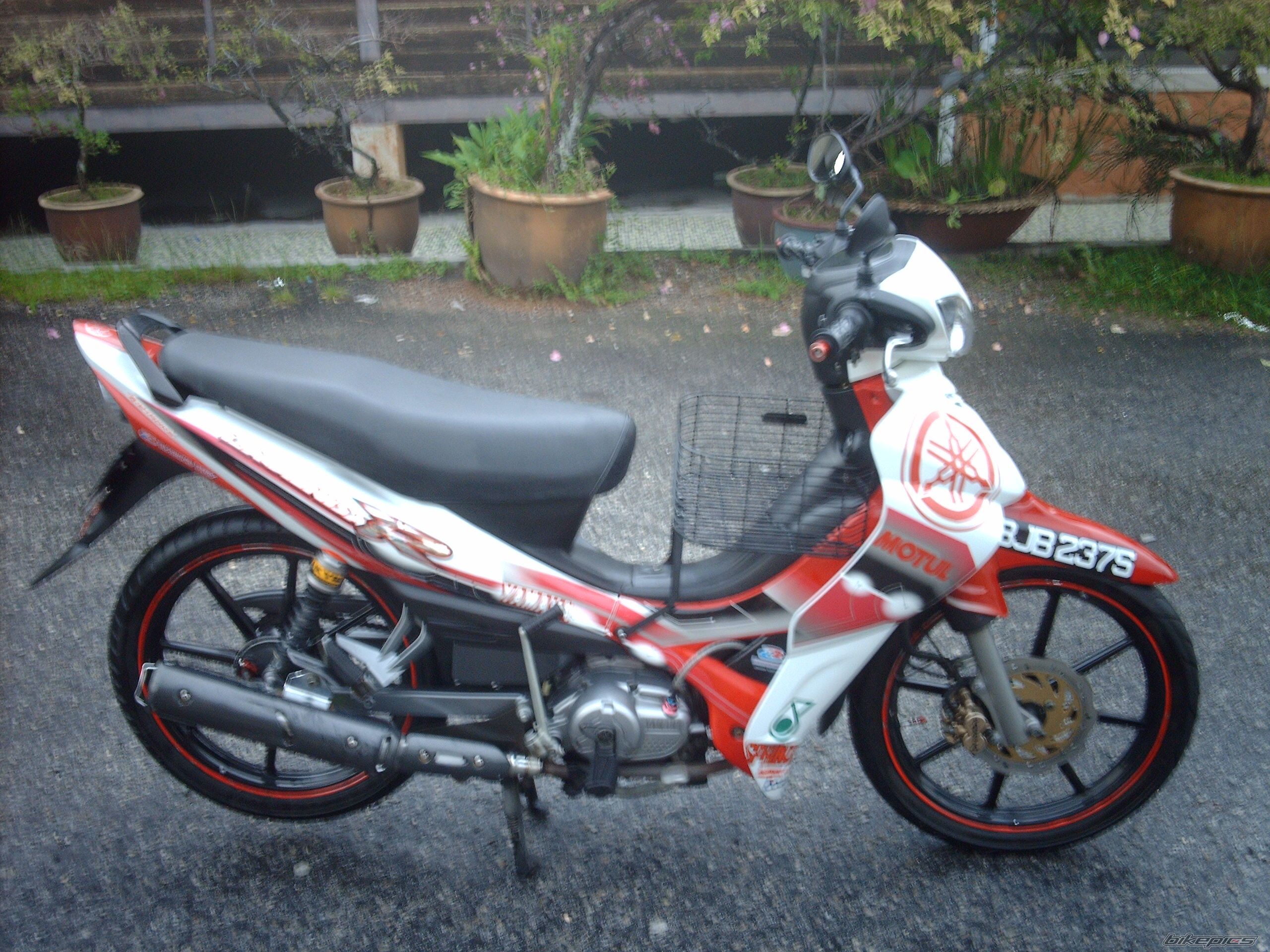 Photo 1242432