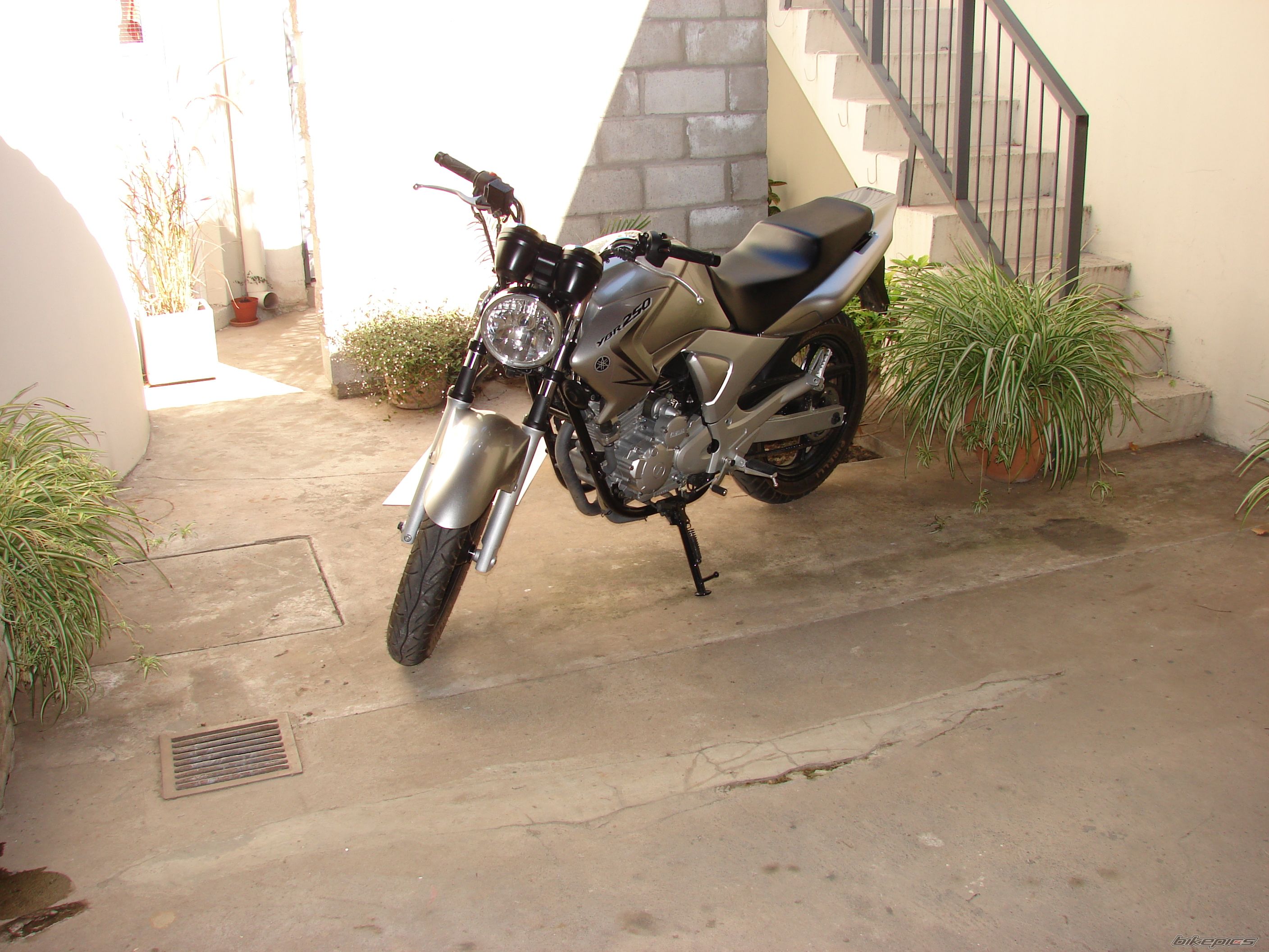 Photo 1242461