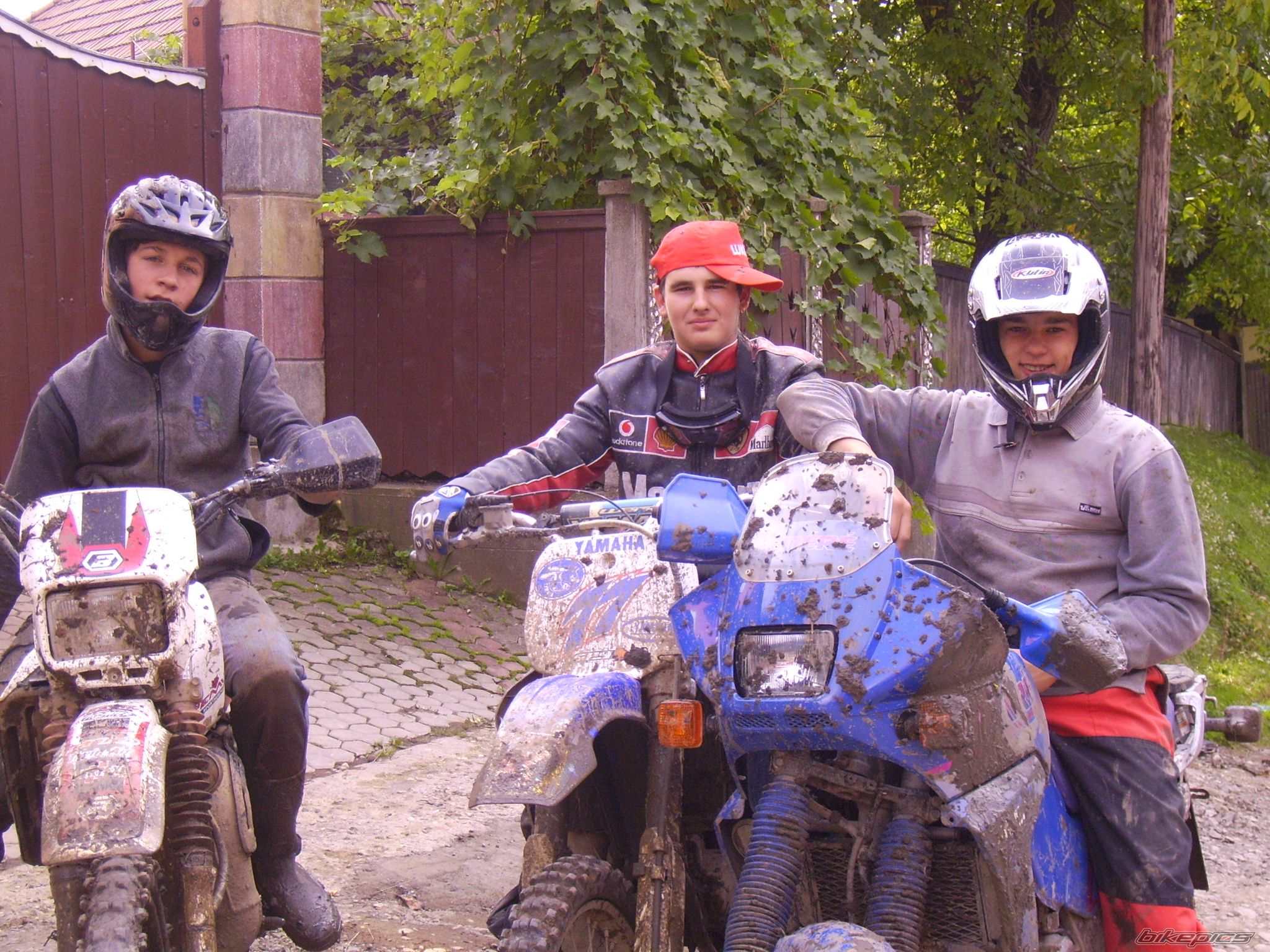 Photo 1242524