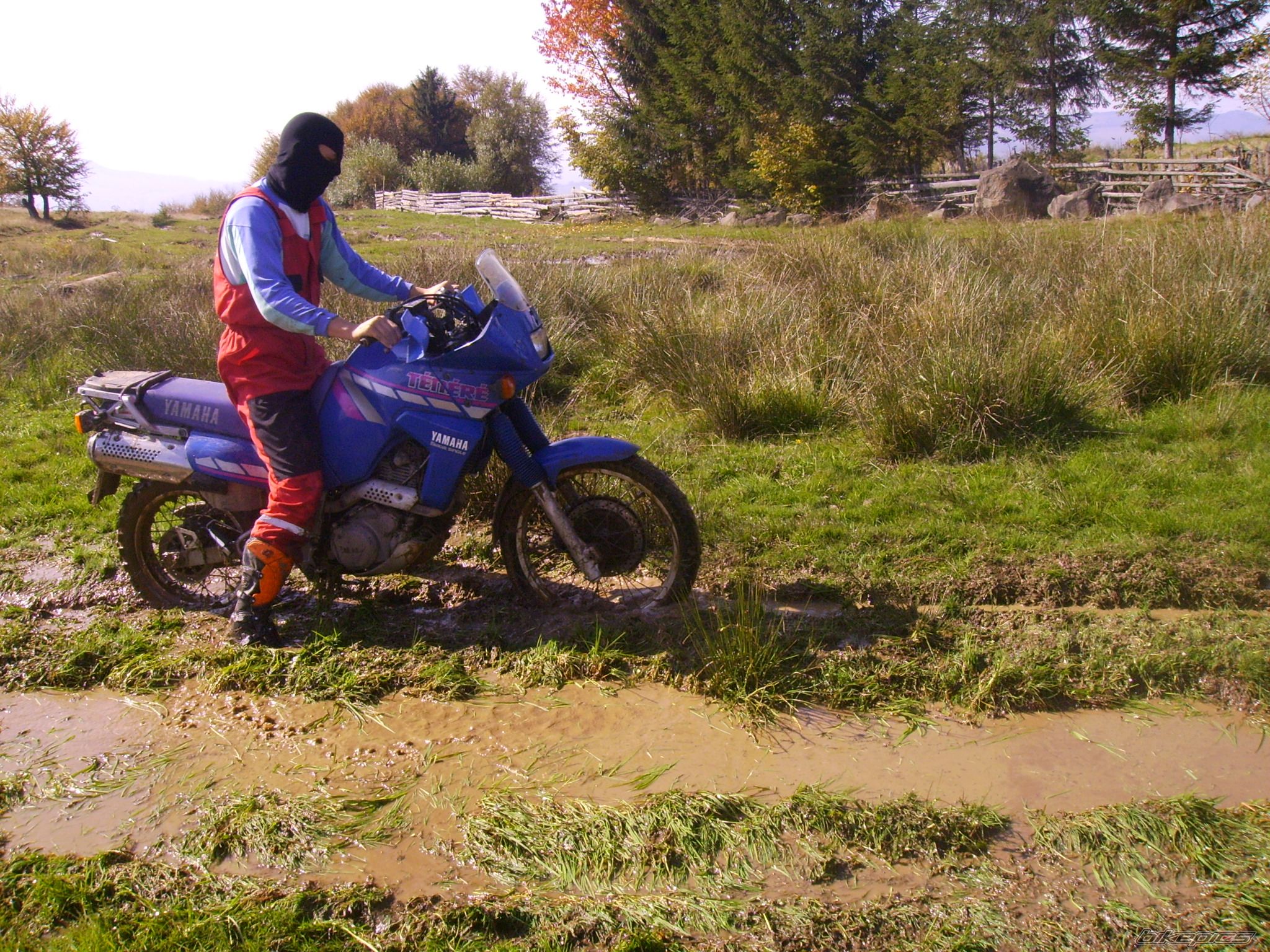 Photo 1242525
