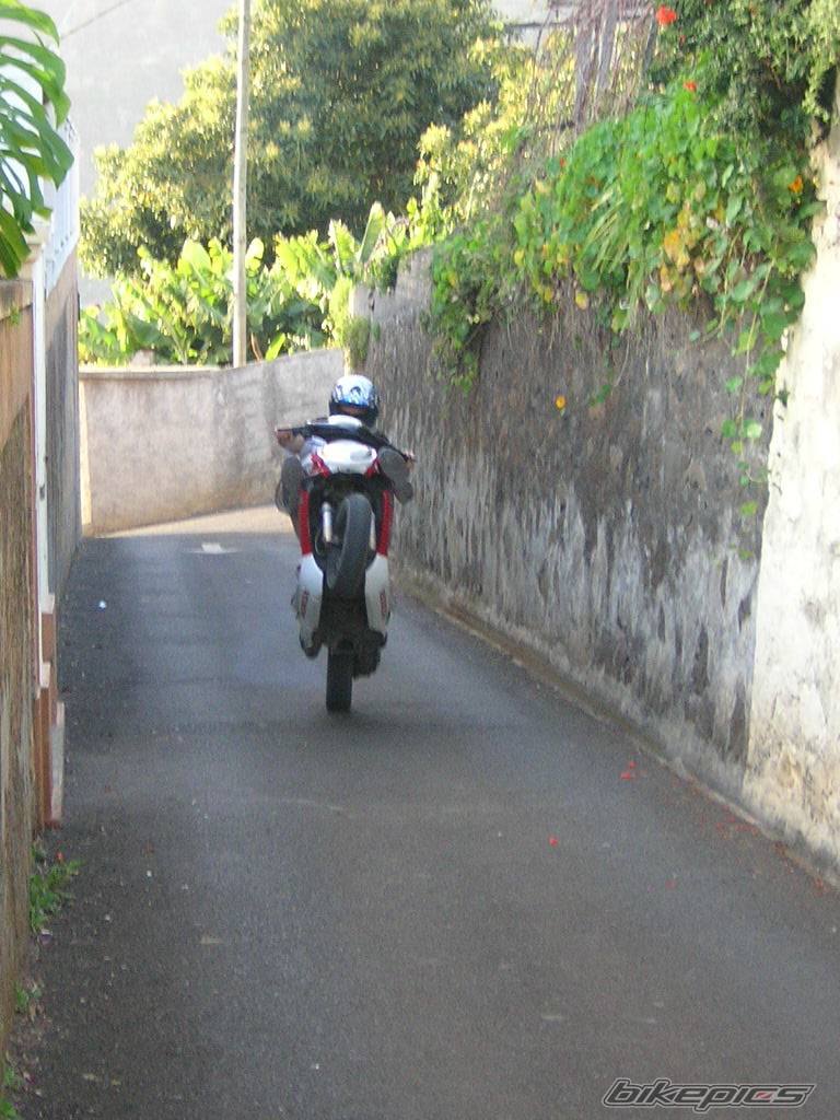 Photo 124258