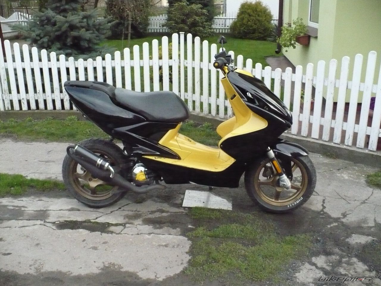 Photo 1242582