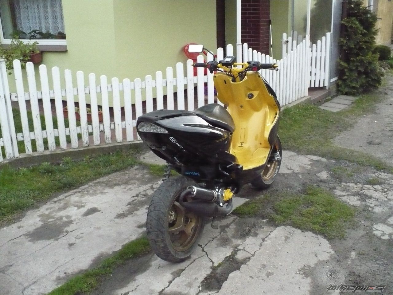 Photo 1242583