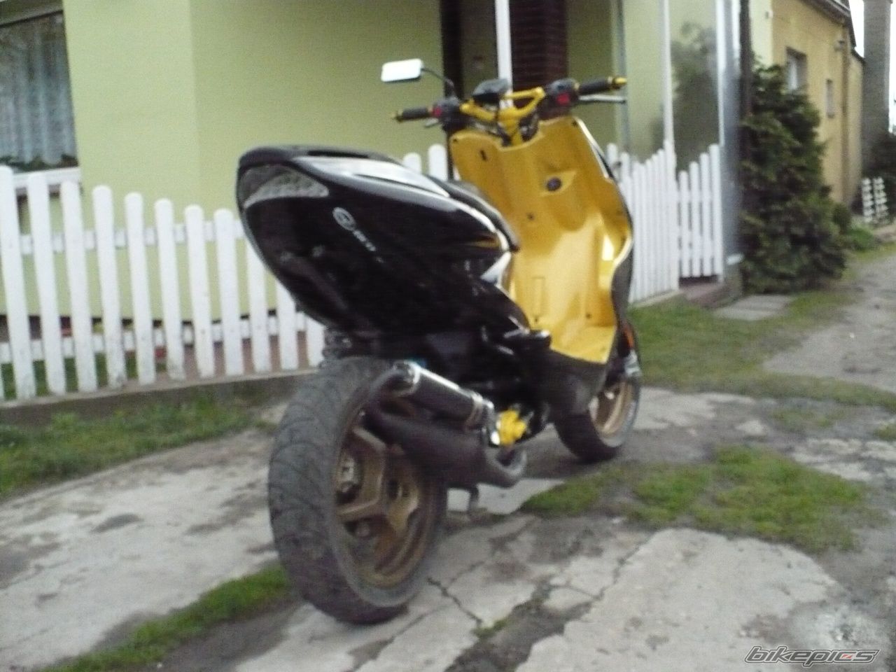 Photo 1242601
