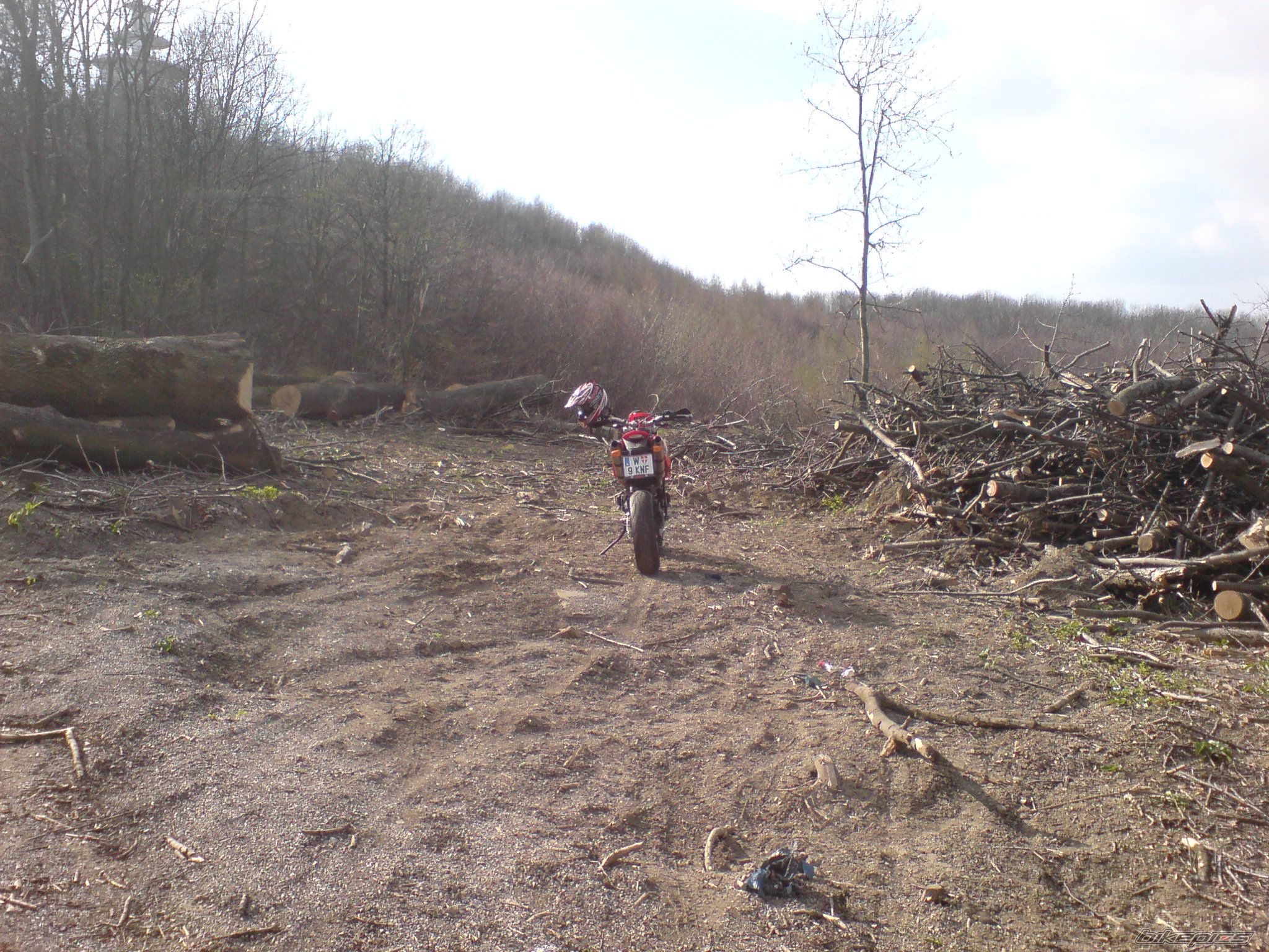 Photo 1242623