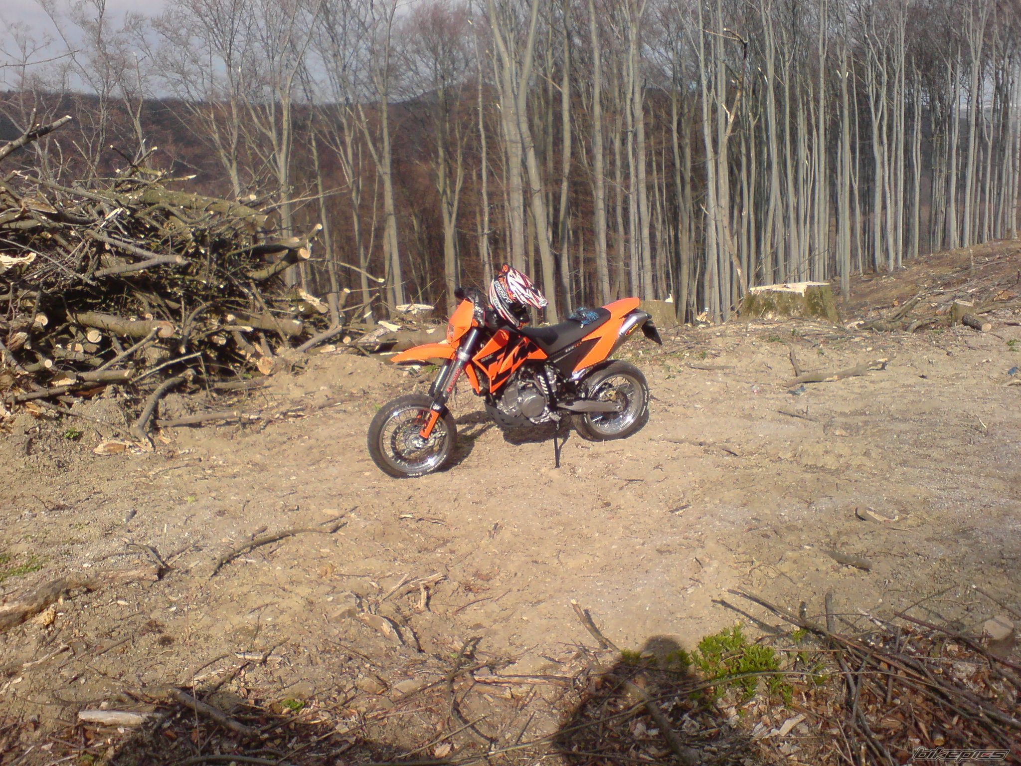 Photo 1242628