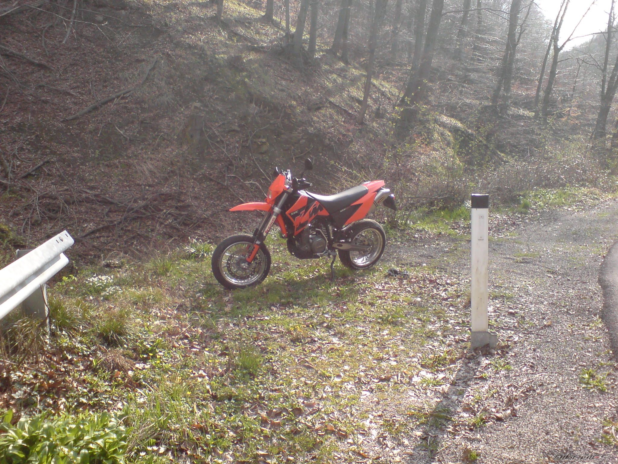 Photo 1242637