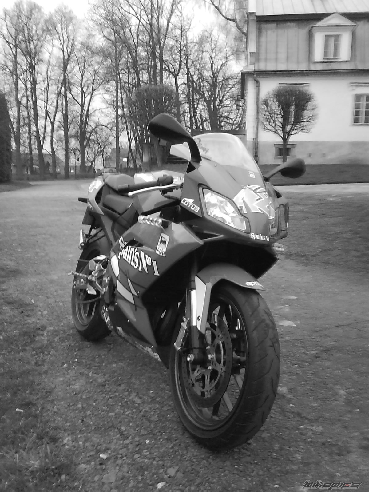 Photo 1242644