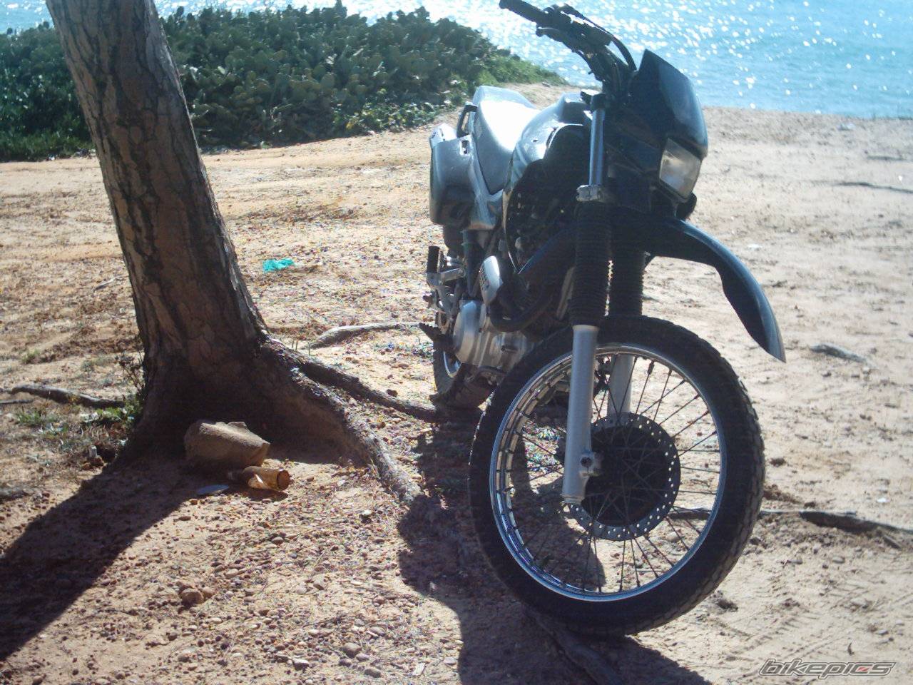 Bike Photo 124265