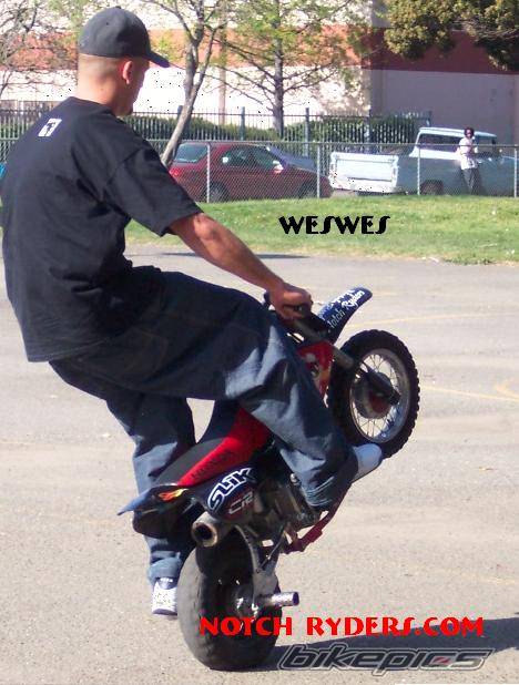 Photo 124267