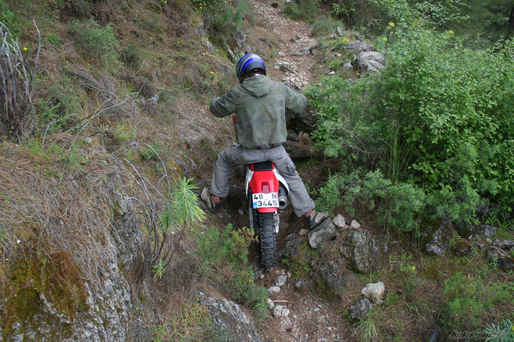Bike Photo 1242672