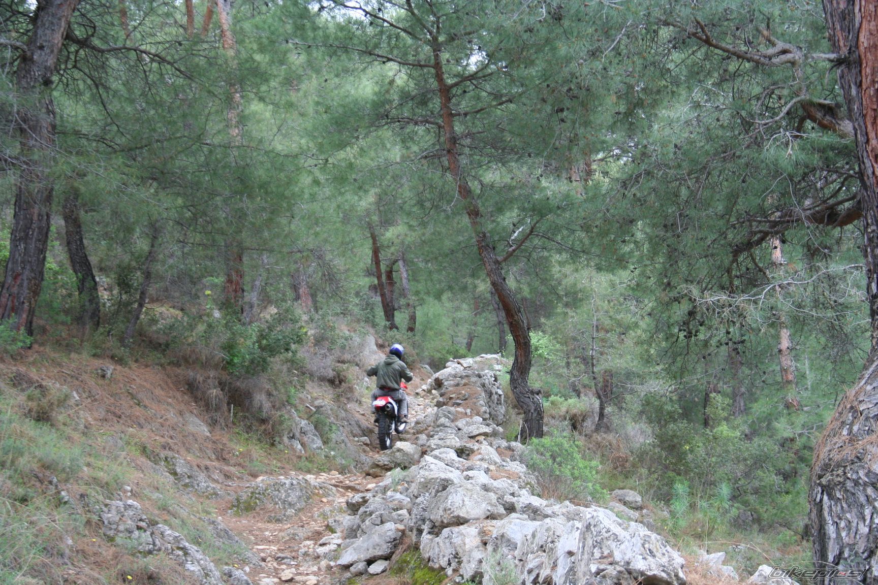 Bike Photo 1242675