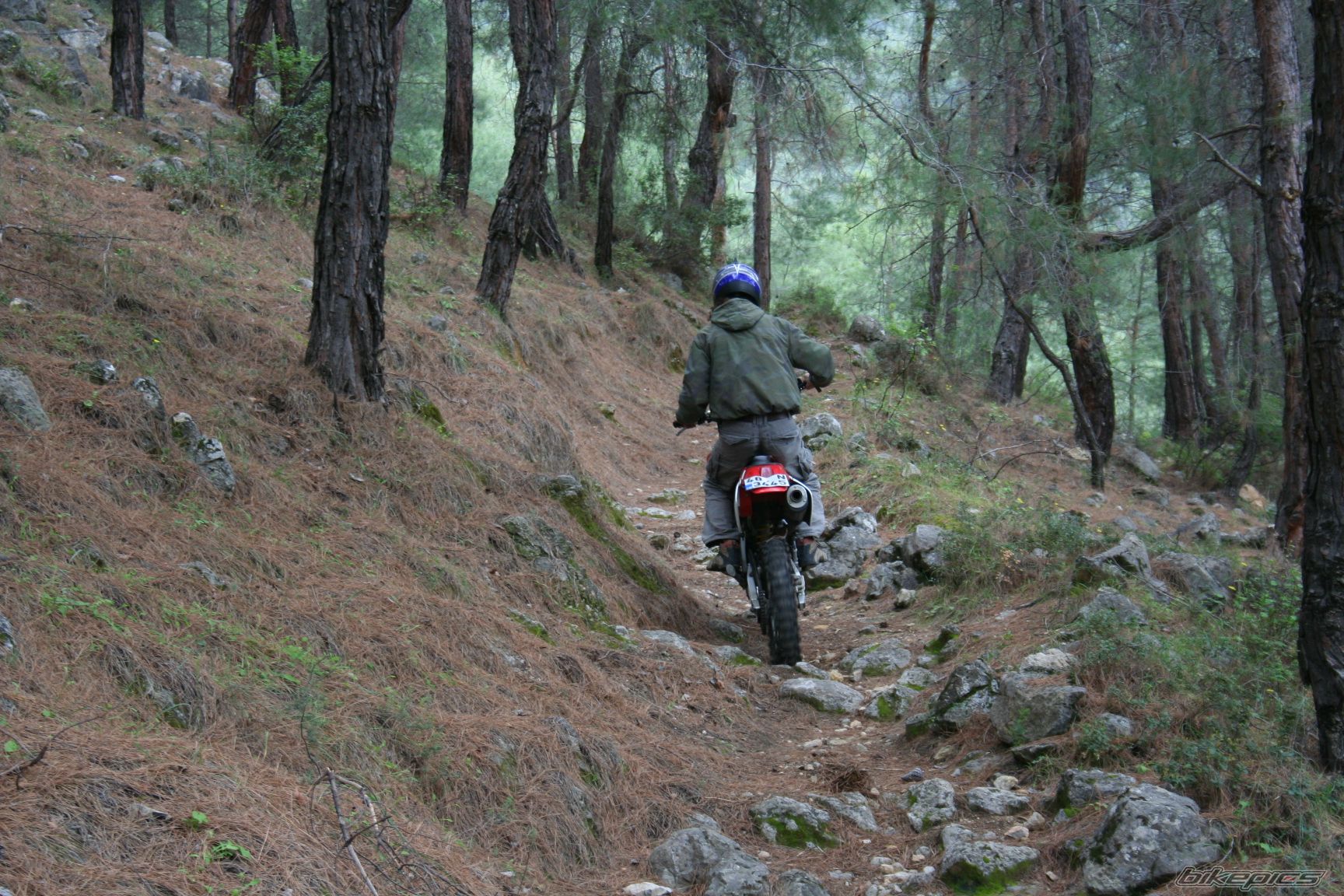 Bike Photo 1242680
