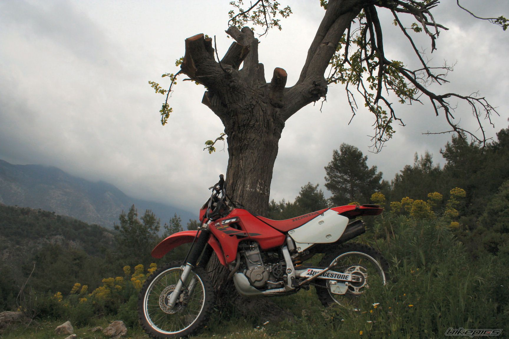 Bike Photo 1242683