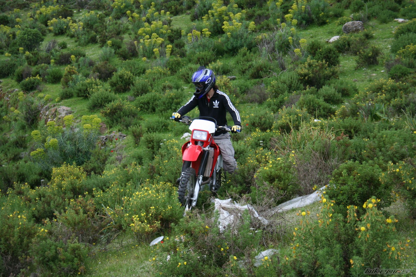 Bike Photo 1242695