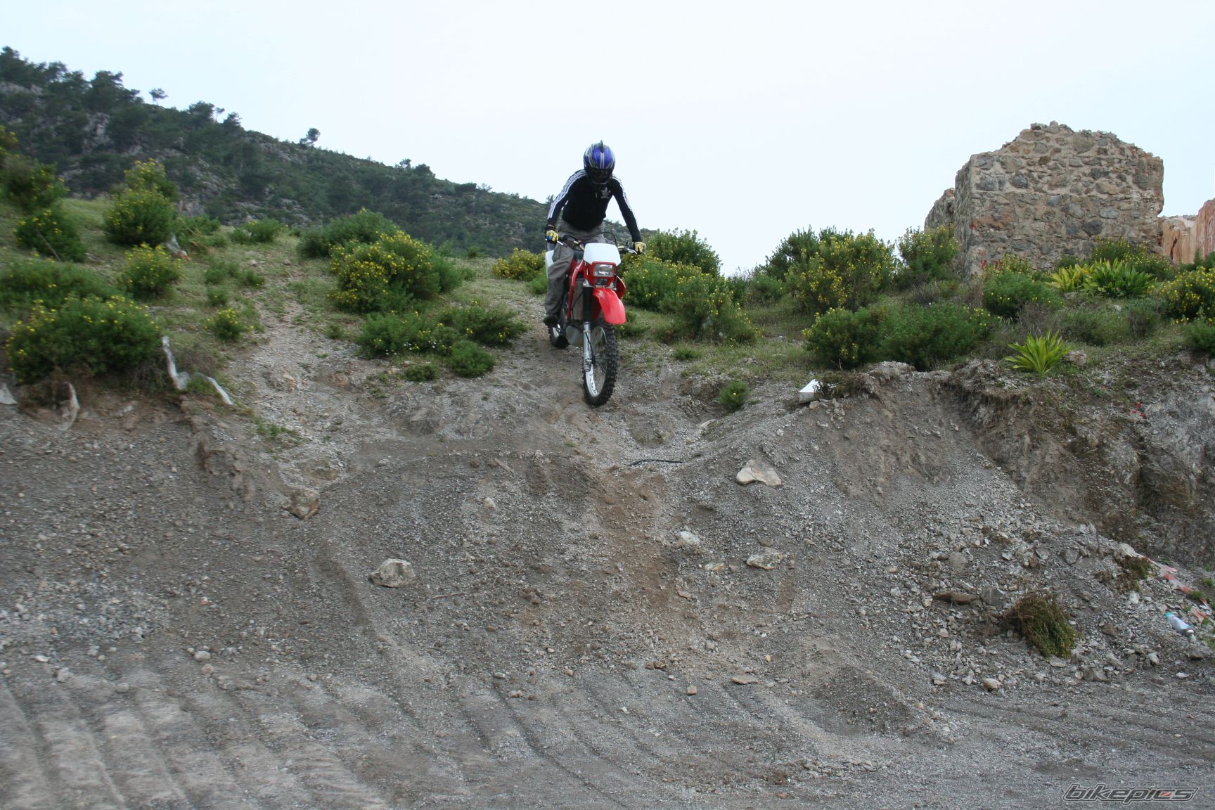 Bike Photo 1242702