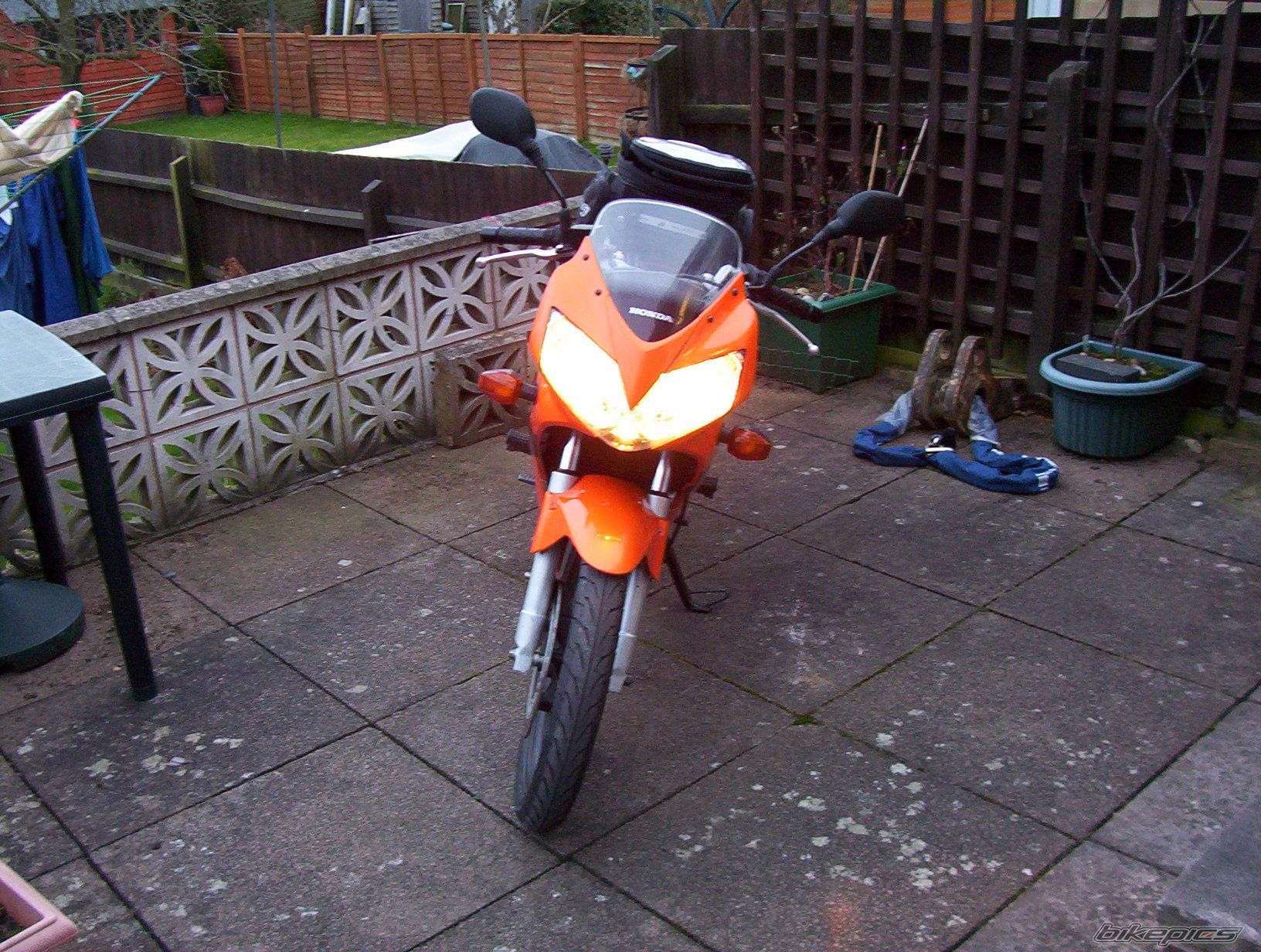 Photo 1242732
