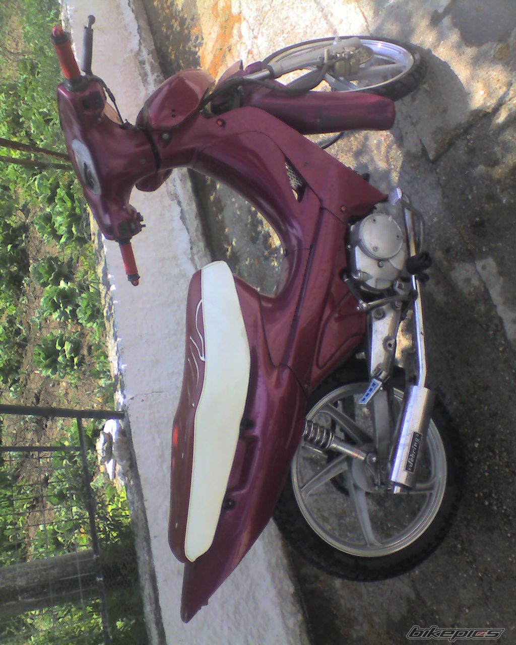 Photo 1242777