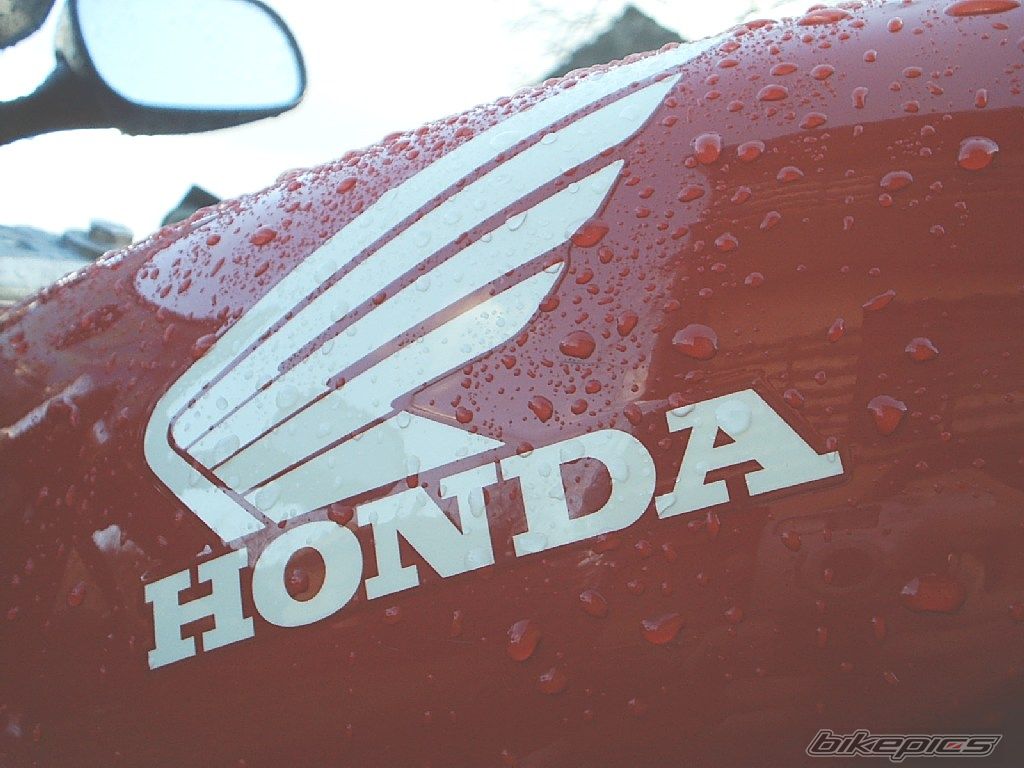 Photo 1242863