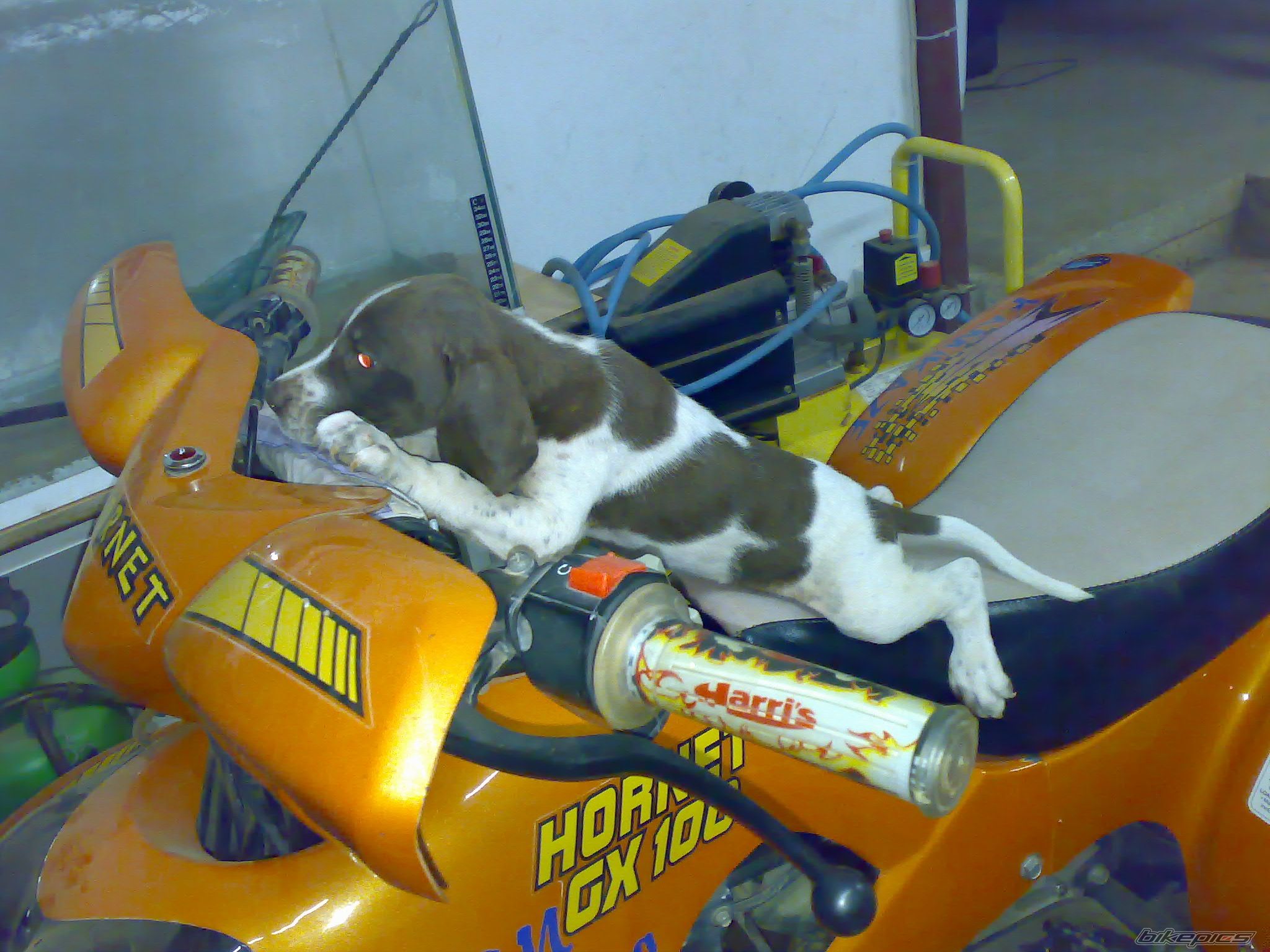 Photo 1242896