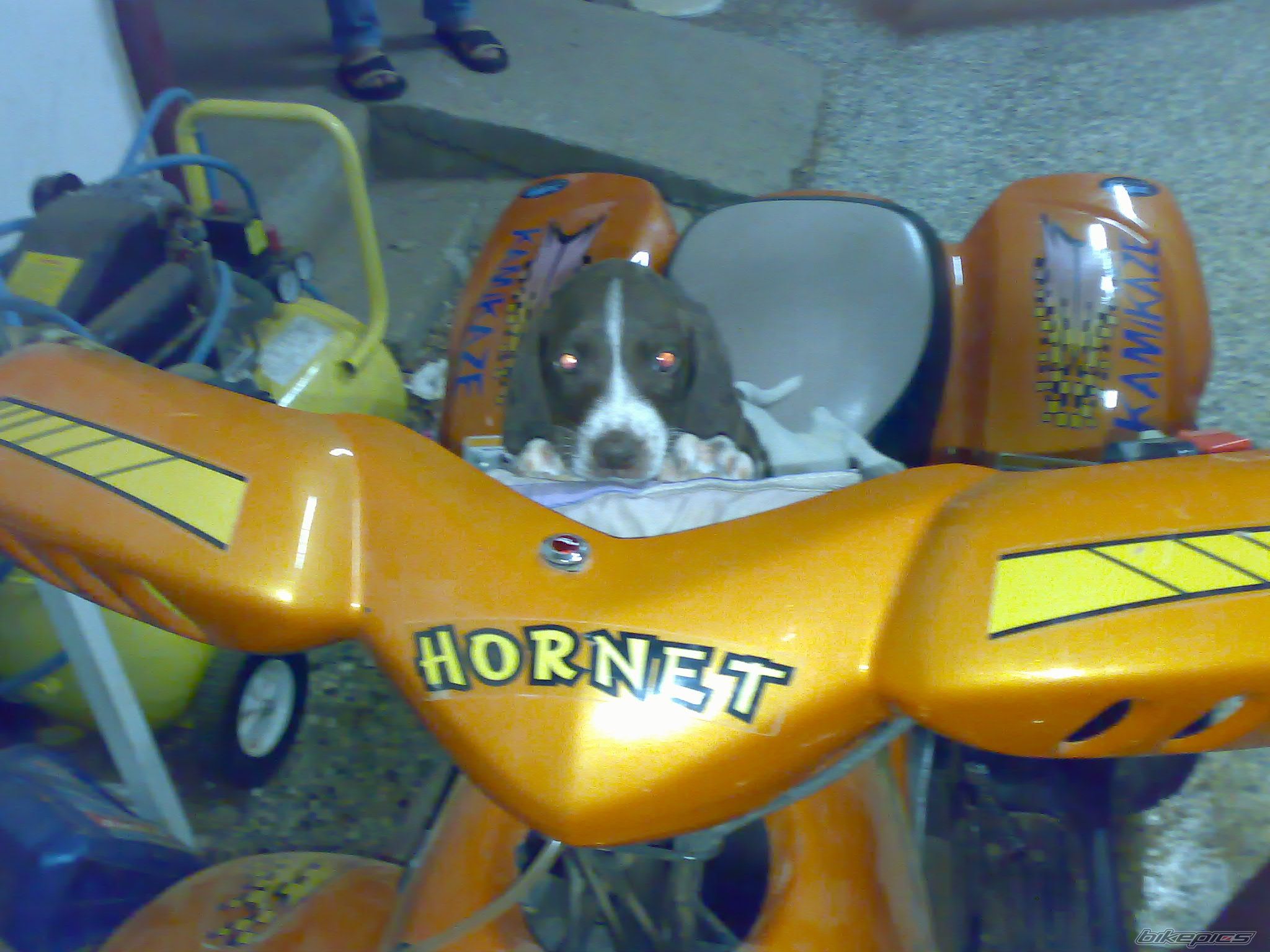 Photo 1242899