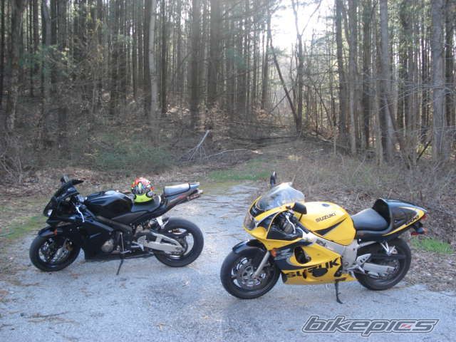 Photo 1242962