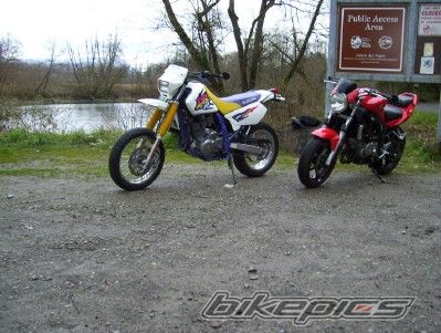 Photo 1243110