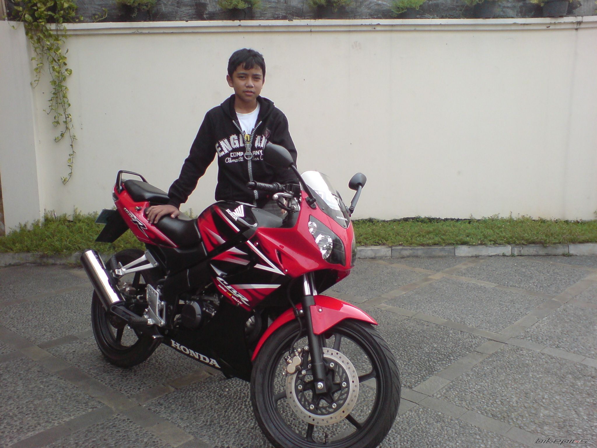 Photo 1243268