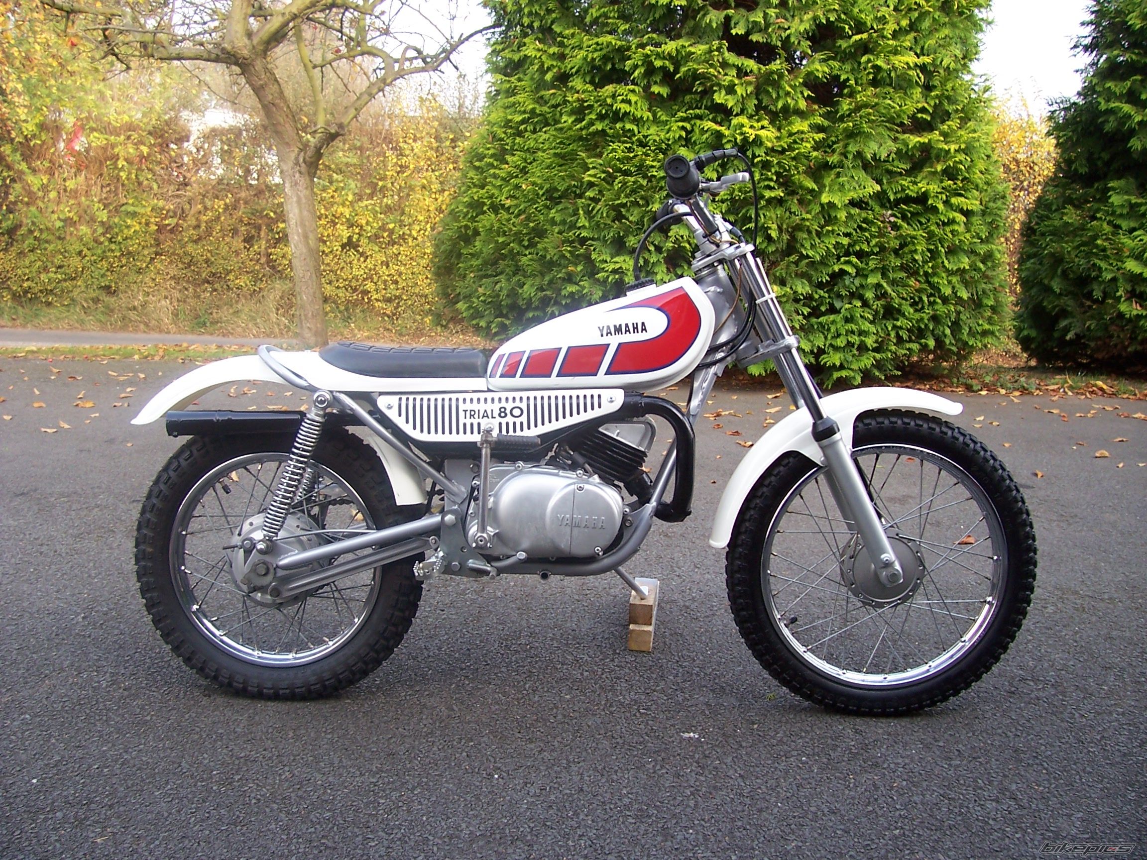 Photo 1243271